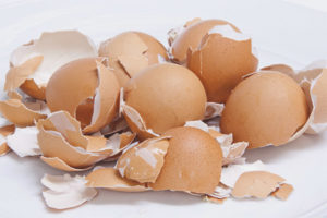 Eierschaal als bron van calcium