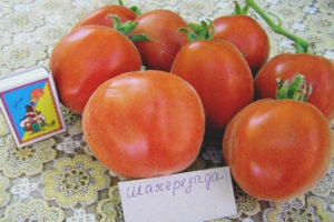 Tomaatti Scheherazade