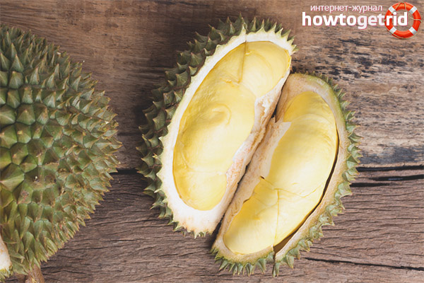 Composizione e proprietà uniche di durian